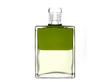 Aura-Soma-煉金瓶-平衡油-系列_190723_0011-A4-2-380x288-1